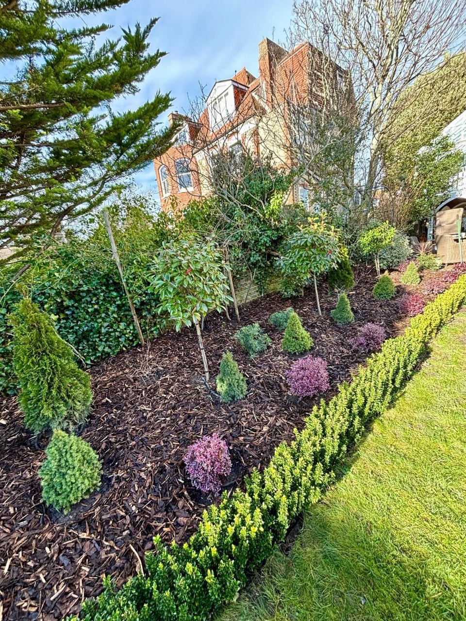Low maintenance border, mulched with decorative bark.