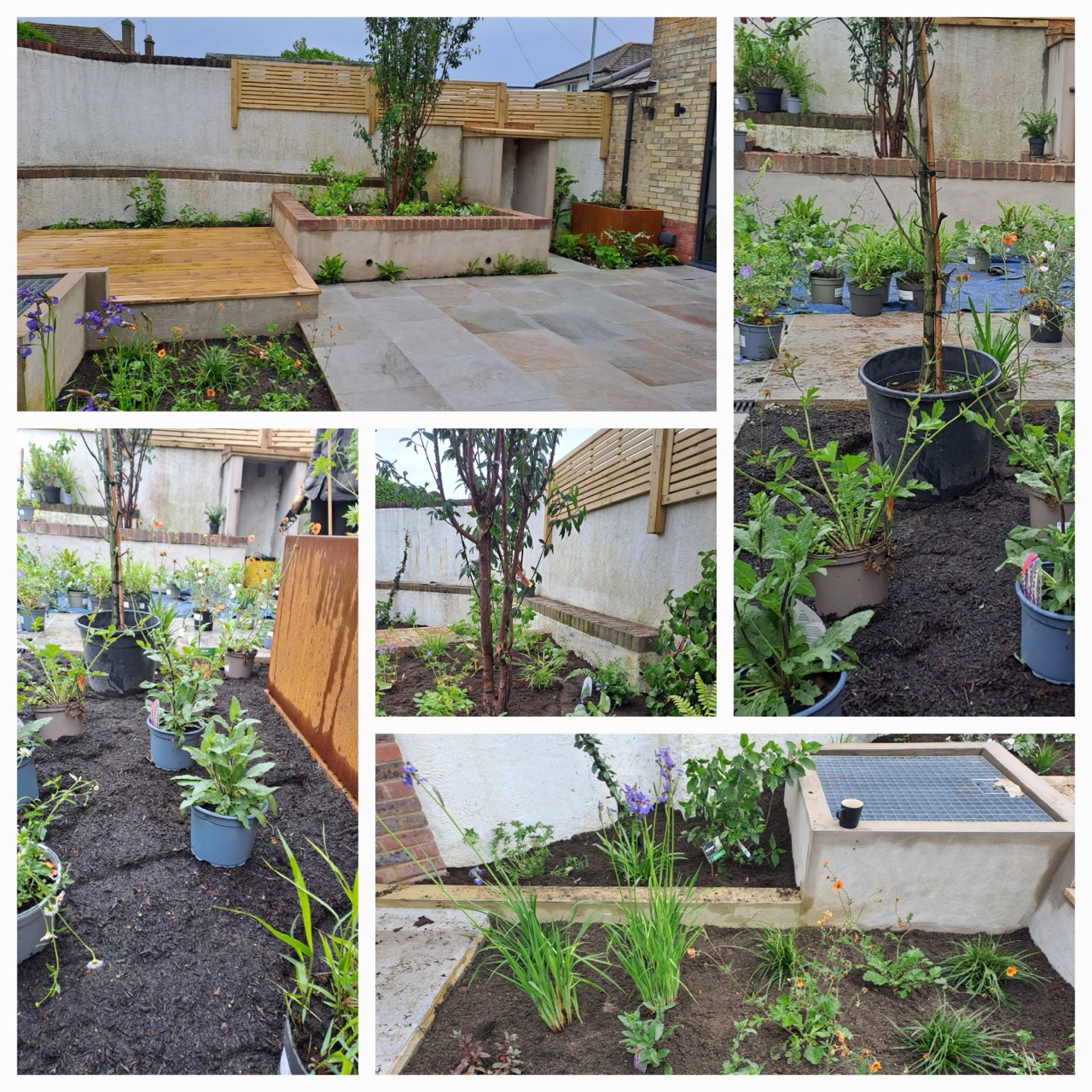Preparing borders and setting out new plants.