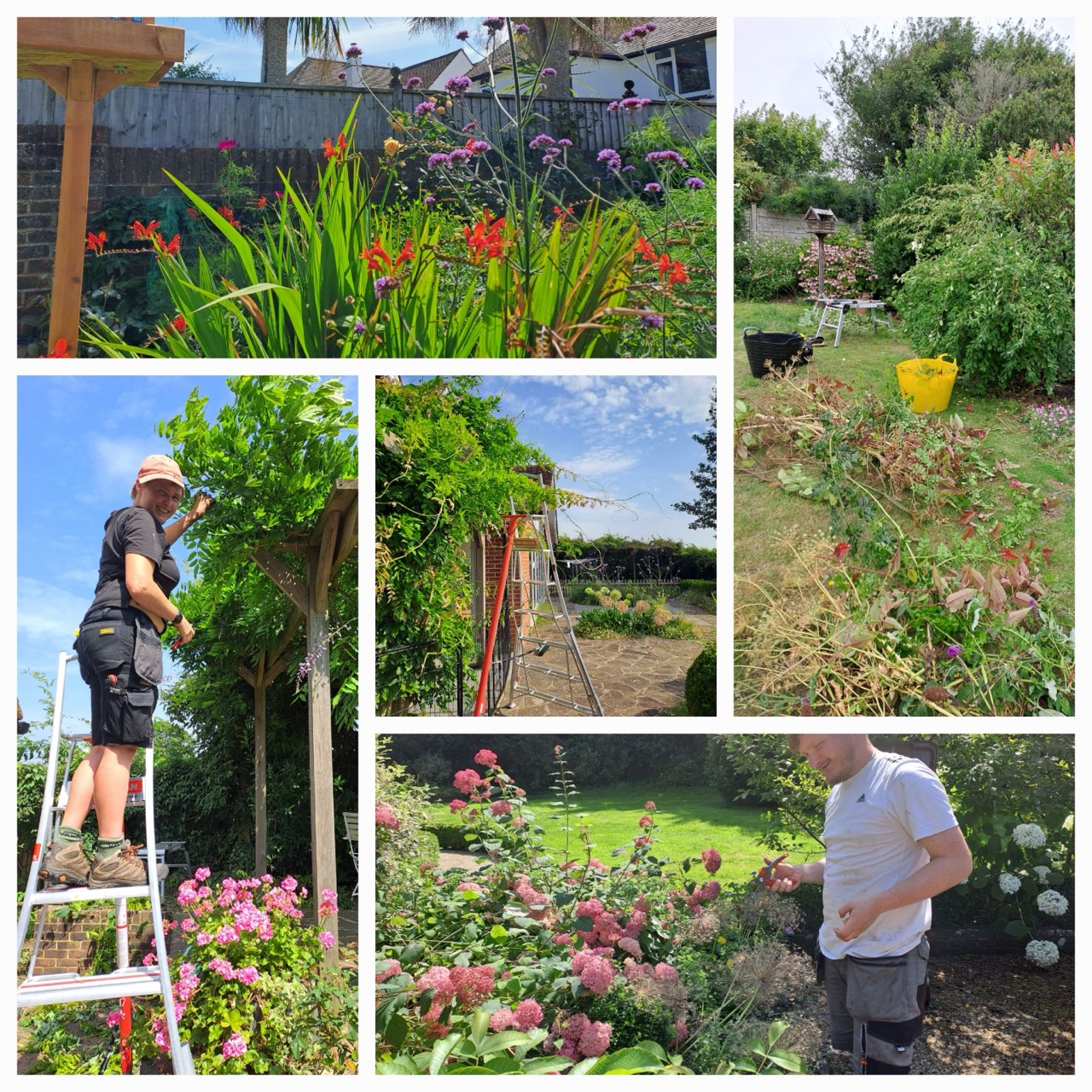 Gardeners dead heading, pruning and border tidying in sunshine.