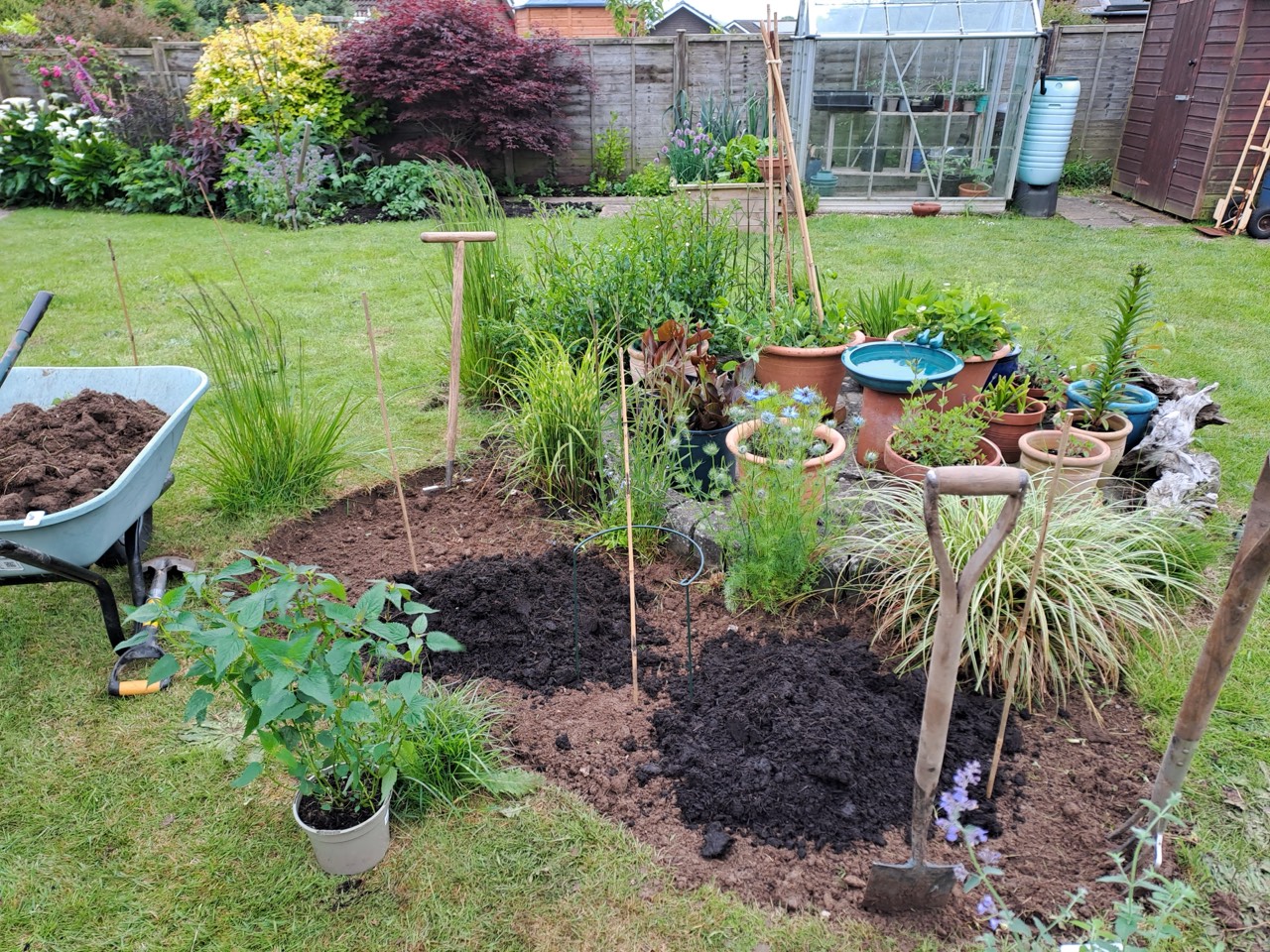 Newly created bed, preparing to plant.